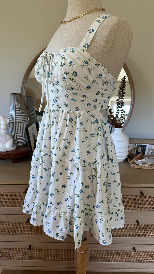 Blue Sky Roses Dress